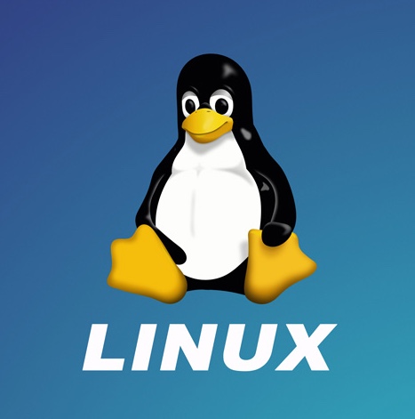 Linux Logo